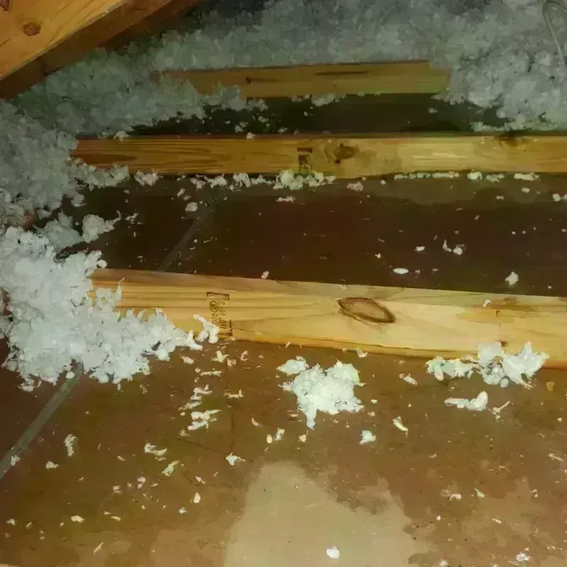 Attic Water Damage in Columbus, KS