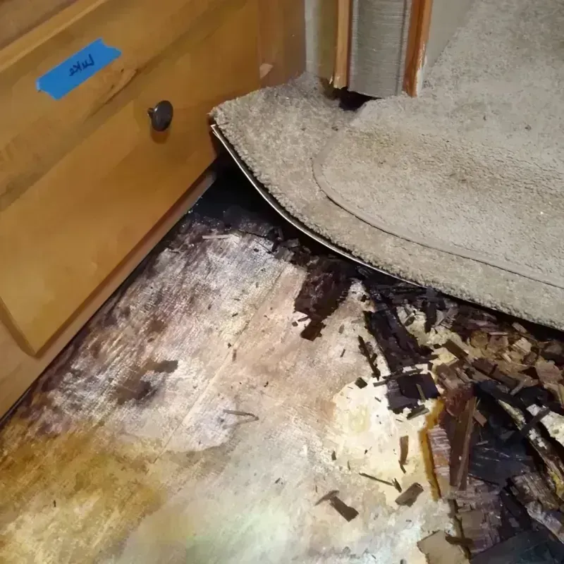 Wood Floor Water Damage in Columbus, KS